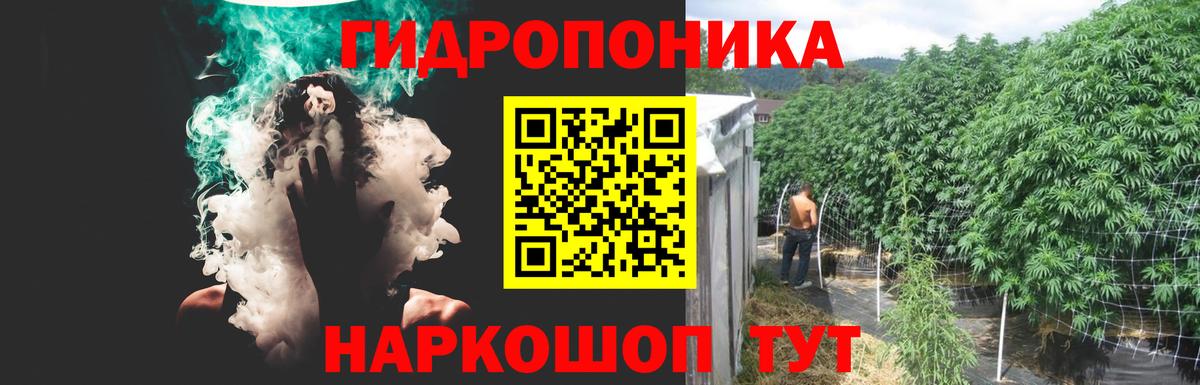 Каннабис OG Kush  Вход с VPN  Каннабис Amnesia  Каннабис Ganja  Конопля Ganja  Дагестанские Огни 